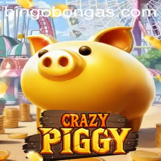 Exploring CrazyPiggy: Bingobonga Adventures