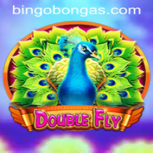 Discovering DoubleFly: Exploring the New Sensation with Bingobonga