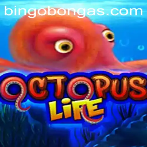 Discover the Exciting World of OctopusLife and the Mysterious Bingobonga